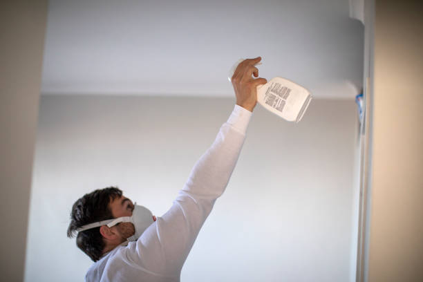 Best White Mold Remediation in Blooming Prairie, MN