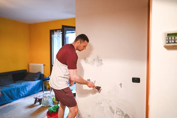 Best Residential Mold Remediation in Blooming Prairie, MN